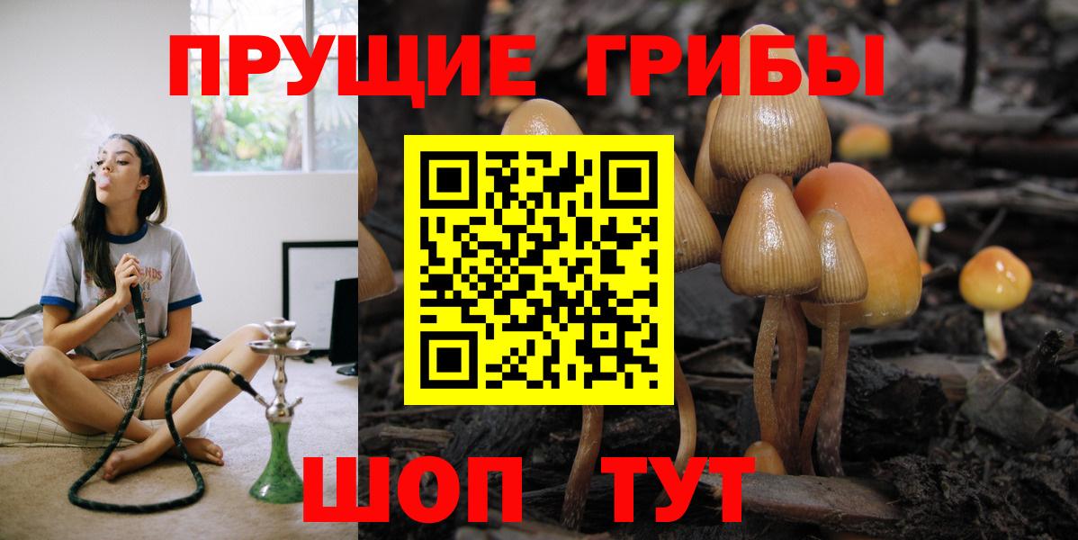 Псилоцибиновые грибы GOLDEN TEACHER  Вход с VPN  Гурьевск 