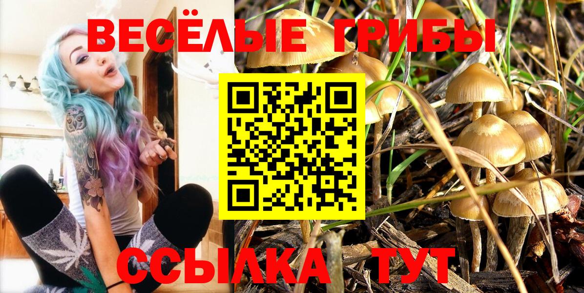 Галлюциногенные грибы Psilocybine cubensis Гурьевск