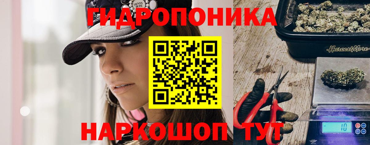 Бошки Шишки планчик Гурьевск